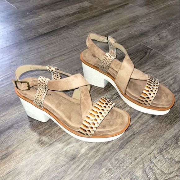 Pierre Dumas Shoes - Block heel sandals taupe size 11 clue - 2 snake skin strappy buckel